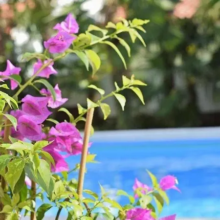 Apartament In With Balcony, Wifi 819-1